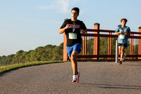 Bridge In