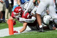NCAA Football 2022: Outback Bowl: Arkansas  24:10 Penn State