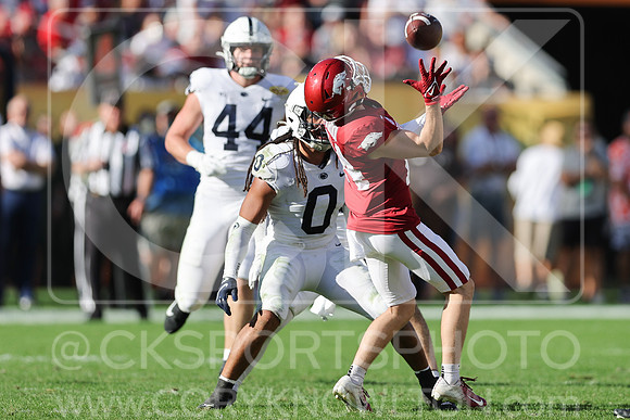 NCAA Football 2022: Outback Bowl: Arkansas  24:10 Penn State