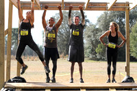 Monkey Bars