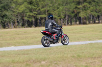 IMG_8991