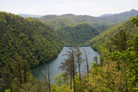 IMG_3773